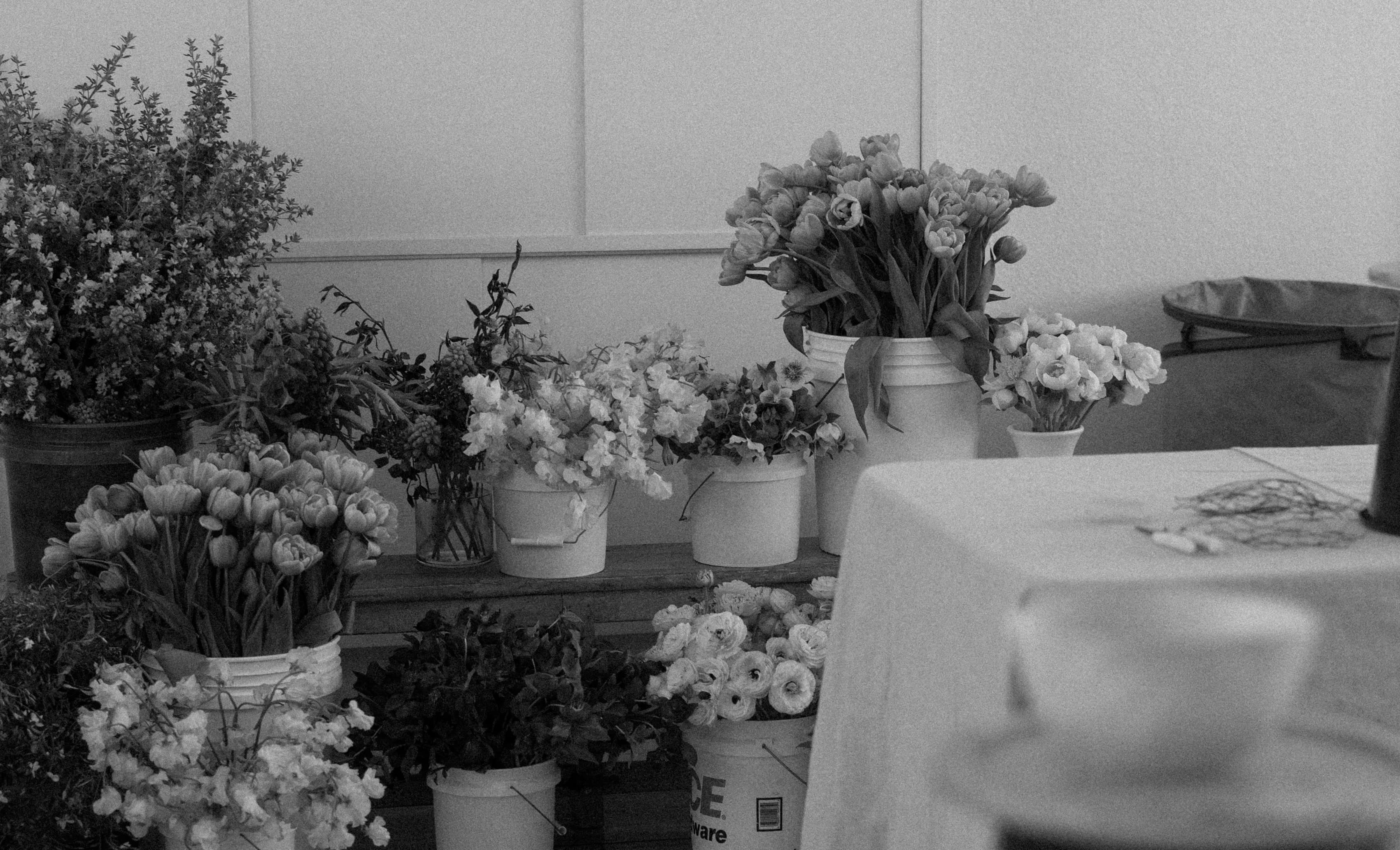 Bloomier studio — flowers in buckets