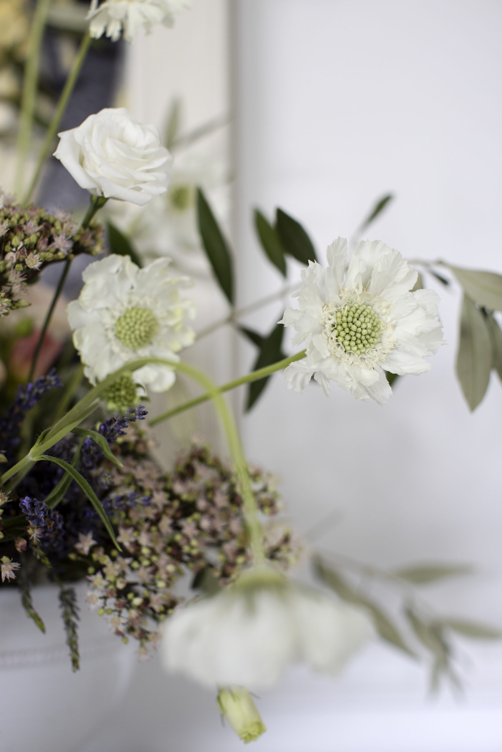 VVancouver Valentine's Day Flowers