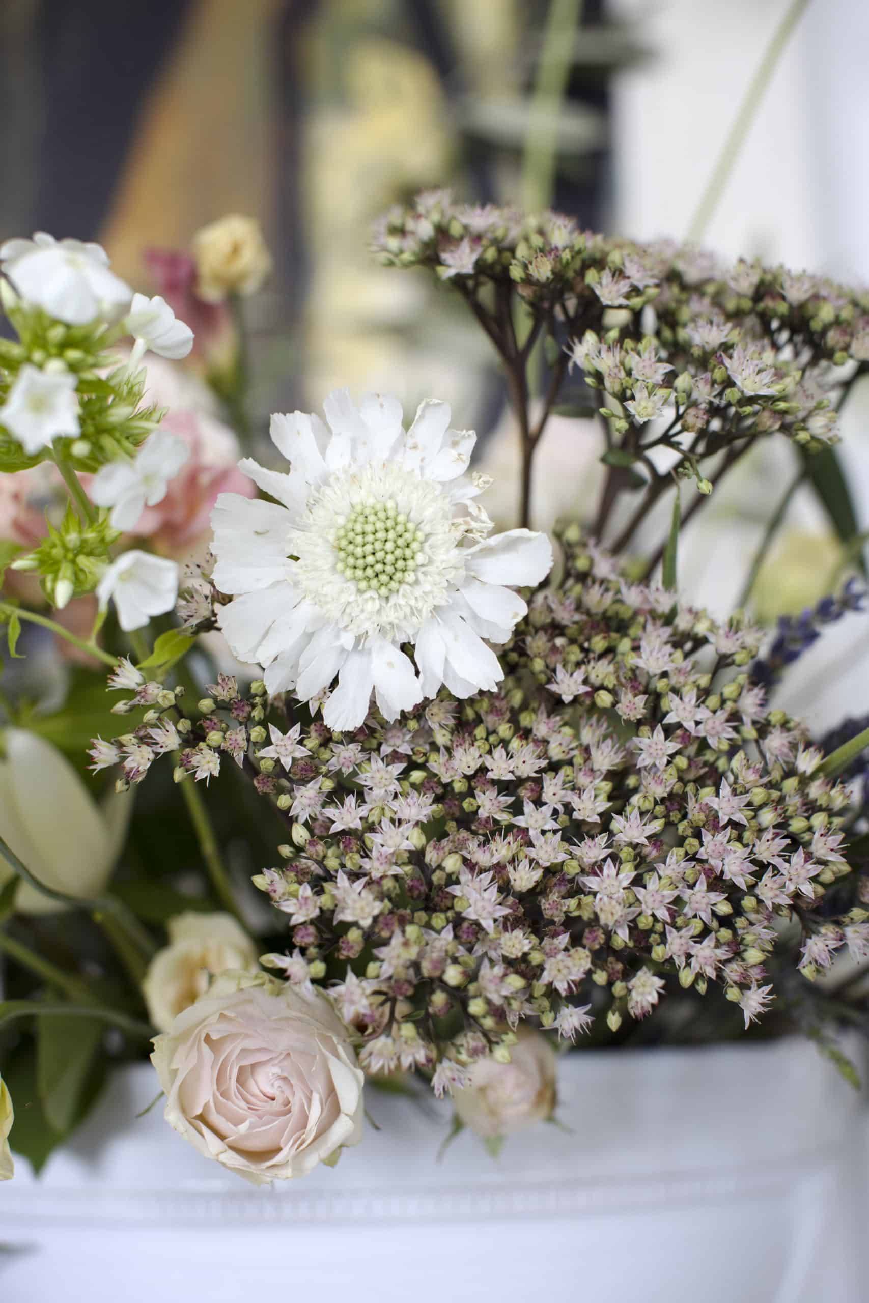 VVancouver Valentine's Day Flowers